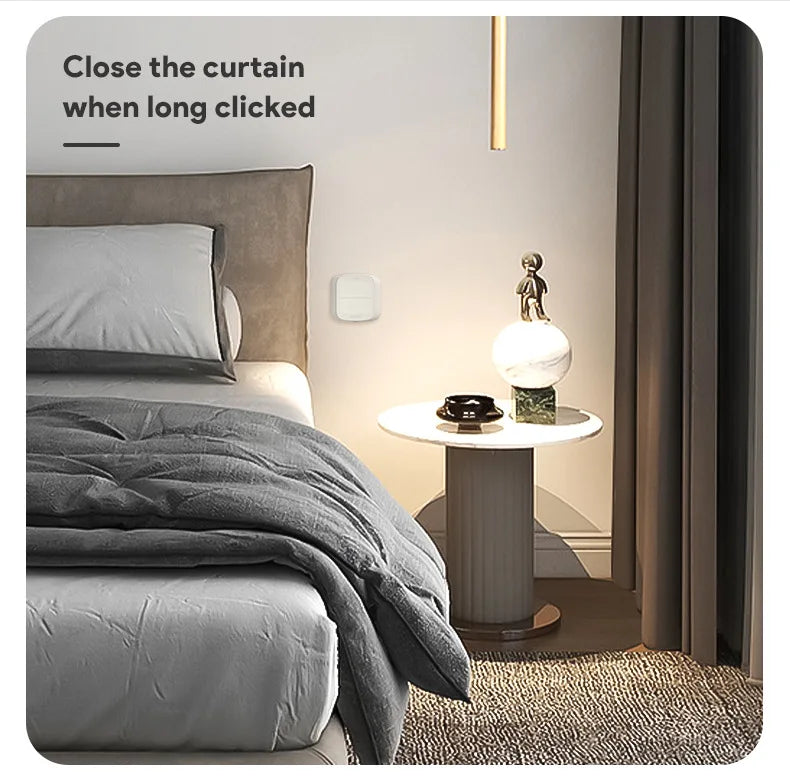 Tuya 2-Gang Smart Scene Switch