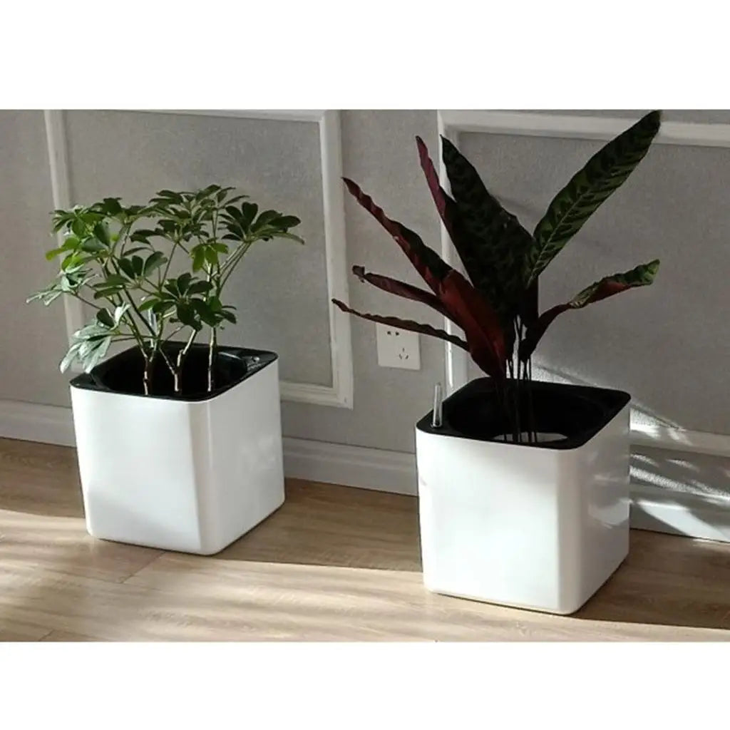Self Watering Planter