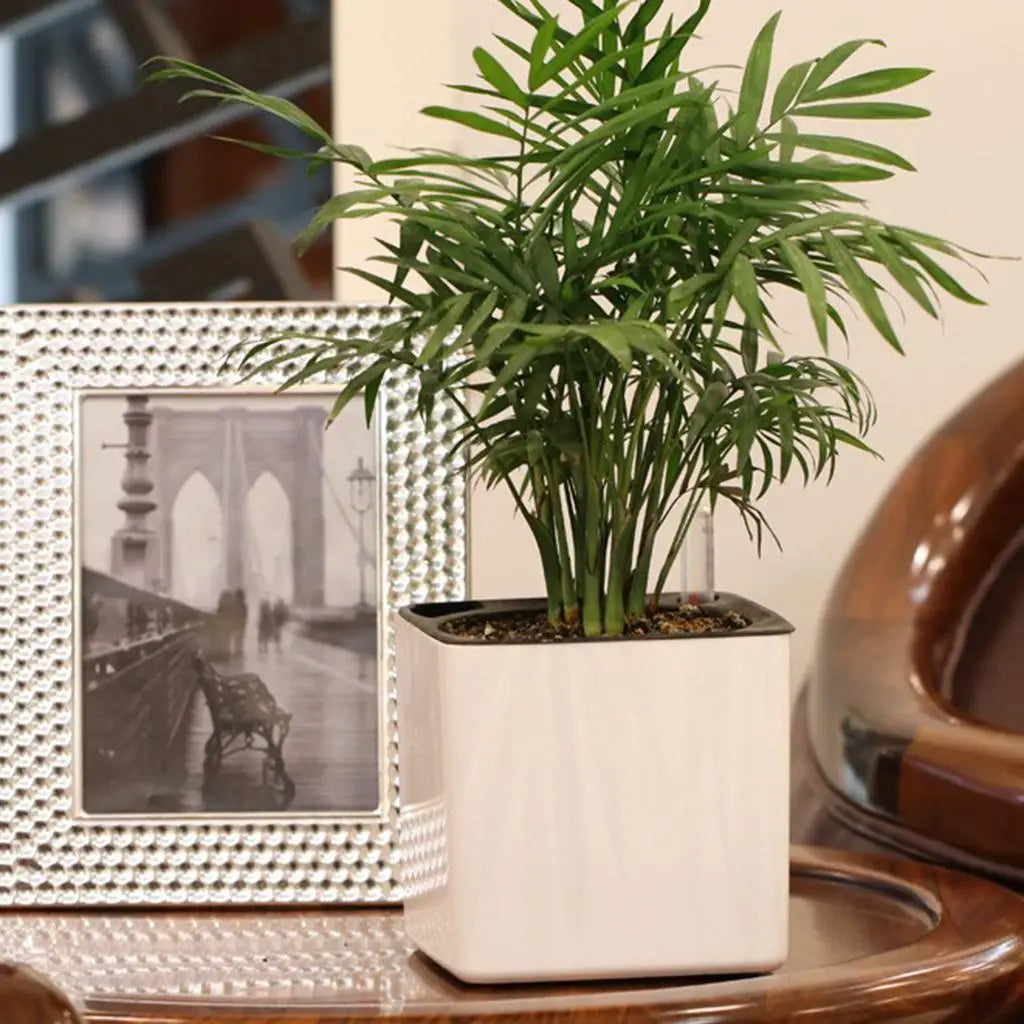 Self Watering Planter