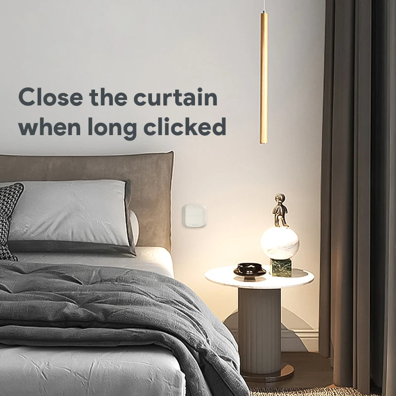 Tuya 2-Gang Smart Scene Switch