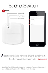 Tuya 2-Gang Smart Scene Switch