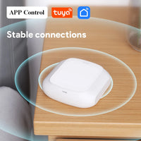 Tuya 2-Gang Smart Scene Switch