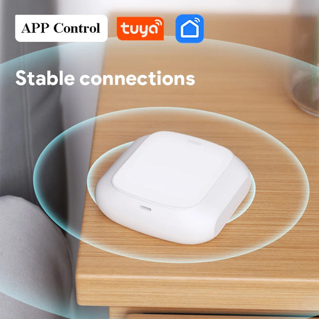 Tuya 2-Gang Smart Scene Switch